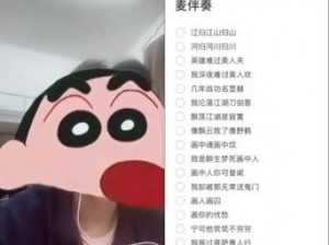 秽语喊麦曲dj版;什么秽语喊麦曲 dj 版竟然如此火爆？