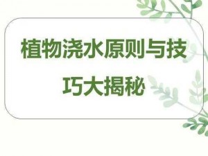 迷你世界互助浇水攻略：如何为好友植物提供滋润，助力友谊成长指南