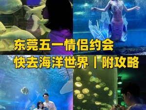 探索蔚蓝世界：掌握抓住技巧攻略，开启无尽海洋之旅程