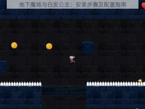 地下魔城与白发公主：安装步骤及配置指南