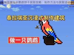 泰拉瑞亚游戏中鹦鹉饼干获取攻略：制作方法与获取途径详解