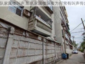 部队家属楼叫声,部队家属楼深夜为何常有叫声传出？