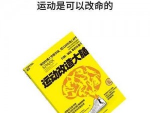 司马先生的智慧之旅：驶向终点，激发大脑潜能燃烧之第56关挑战