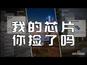 绝地求生：肩扛队友技巧揭秘，如何巧妙扛起队友并肩作战？