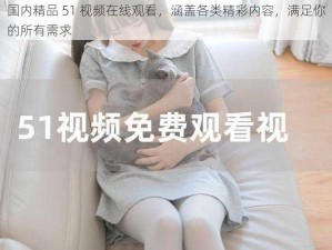 国内精品 51 视频在线观看，涵盖各类精彩内容，满足你的所有需求