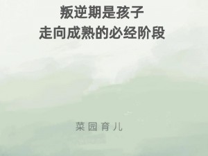 关于成长：叛逆还未启动，便已步入成熟的旋律之歌