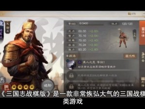 三国志战棋版诸葛诞深度解析：探究其培养价值及战略应用