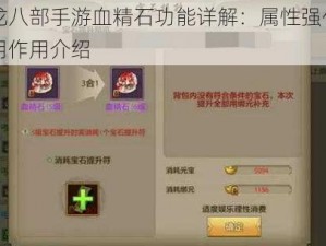 天龙八部手游血精石功能详解：属性强化与实用作用介绍