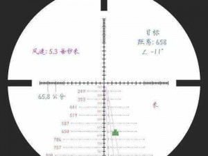 如何精准调整瞄准镜——实战指南下的细节技巧