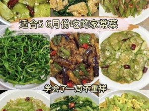 基于le炒菜资源如何寻找的有效方法与途径探索