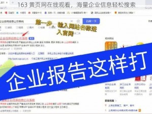 163 黄页网在线观看，海量企业信息轻松搜索