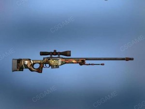 日本CSGO大姐姐AWP价格是多少_日本 CSGO 大姐姐 AWP 价格是多少？