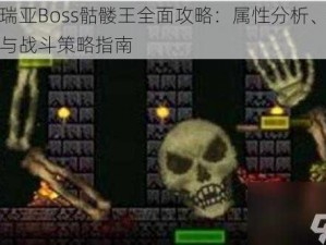 泰拉瑞亚Boss骷髅王全面攻略：属性分析、打法详解与战斗策略指南