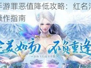 完美世界手游罪恶值降低攻略：红名消除技巧详解与实战操作指南