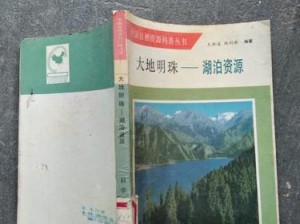 大地资源二中文第二页免费看、大地资源二中文第二页为何免费？