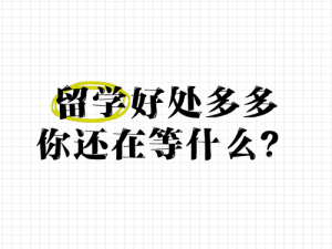 免费进入 b 站哔哩哔哩，好处多多，你还在等什么？