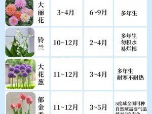 在线摘花 18 破除——提供专业的花卉种植和养护服务