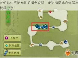 梦幻诛仙手游宠物抓捕全攻略：宠物捕捉地点详解与秘籍分享