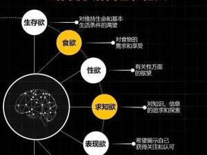 肉欲公交车系列500、肉欲公交车系列 500：探寻人性的欲望与禁忌