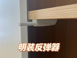 反弹冲刺安装流程详解与配置指南