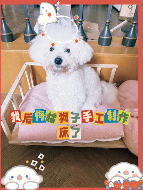 XX 牌犬类训练课程——快速将女生训练成狗