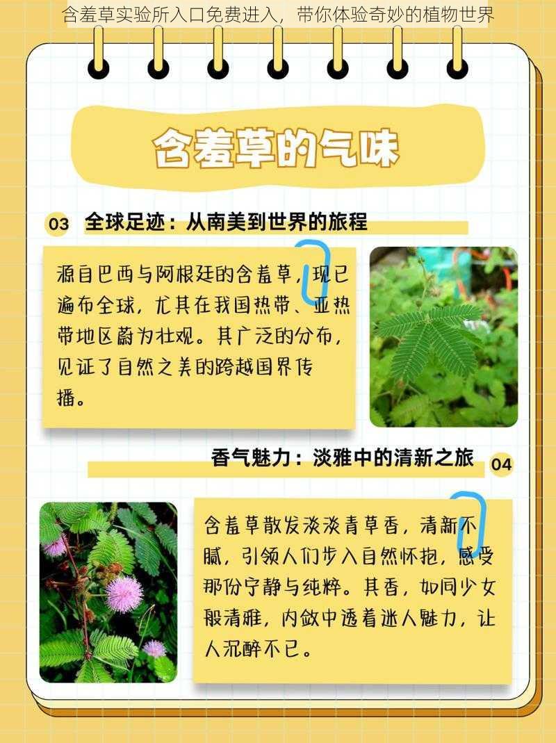 含羞草实验所入口免费进入，带你体验奇妙的植物世界