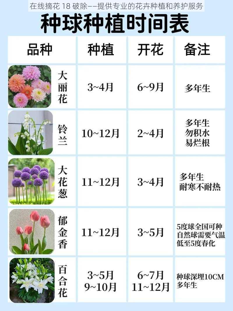 在线摘花 18 破除——提供专业的花卉种植和养护服务