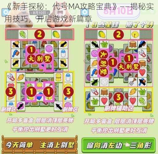 《新手探秘：代号MA攻略宝典》——揭秘实用技巧，开启游戏新篇章