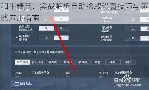 和平精英：实战解析自动拾取设置技巧与策略应用指南