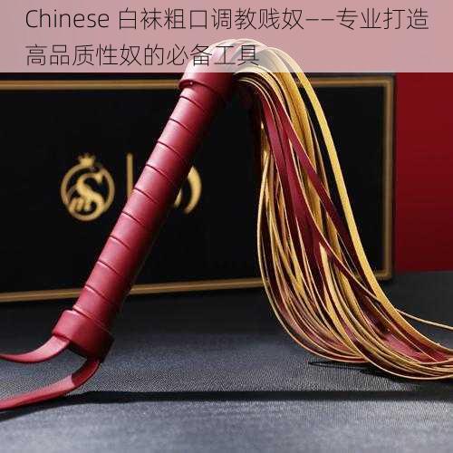 Chinese 白袜粗口调教贱奴——专业打造高品质性奴的必备工具