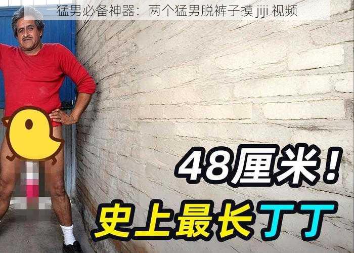 猛男必备神器：两个猛男脱裤子摸 jiji 视频