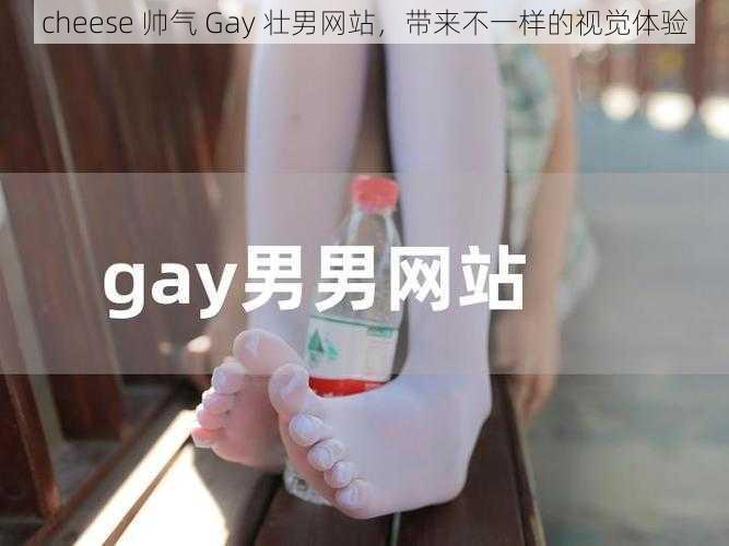 cheese 帅气 Gay 壮男网站，带来不一样的视觉体验