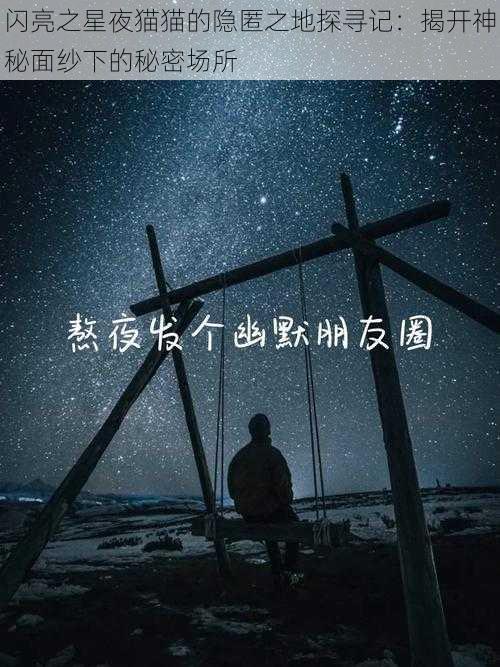 闪亮之星夜猫猫的隐匿之地探寻记：揭开神秘面纱下的秘密场所