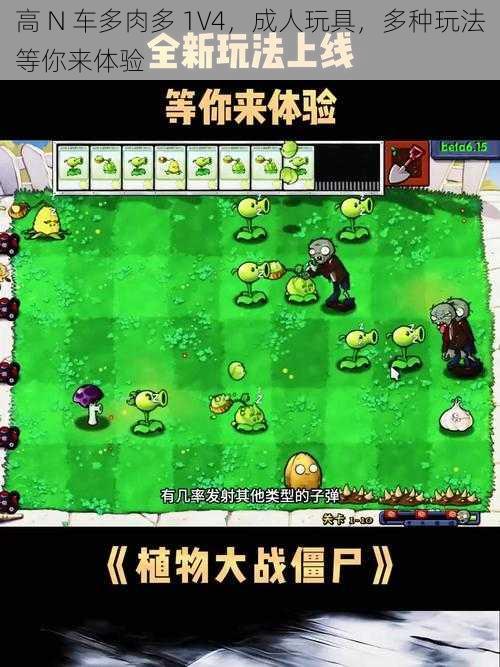 高 N 车多肉多 1V4，成人玩具，多种玩法等你来体验