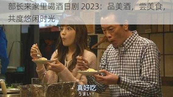 部长来家里喝酒日剧 2023：品美酒，尝美食，共度悠闲时光