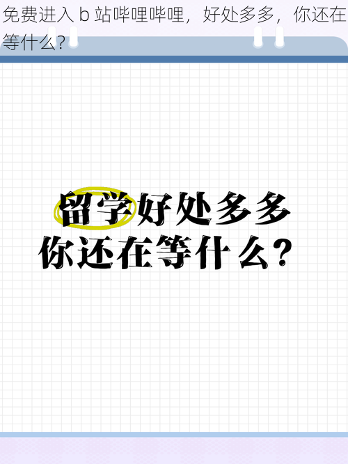 免费进入 b 站哔哩哔哩，好处多多，你还在等什么？