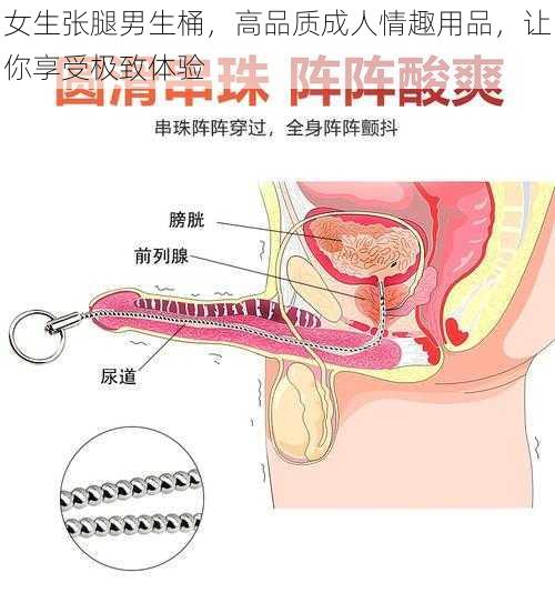 女生张腿男生桶，高品质成人情趣用品，让你享受极致体验