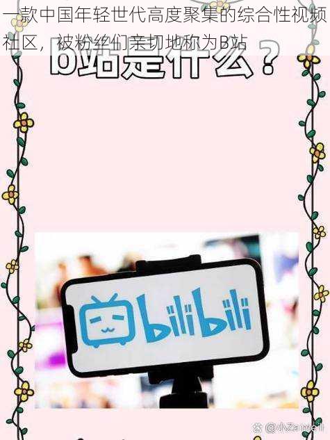 一款中国年轻世代高度聚集的综合性视频社区，被粉丝们亲切地称为B站