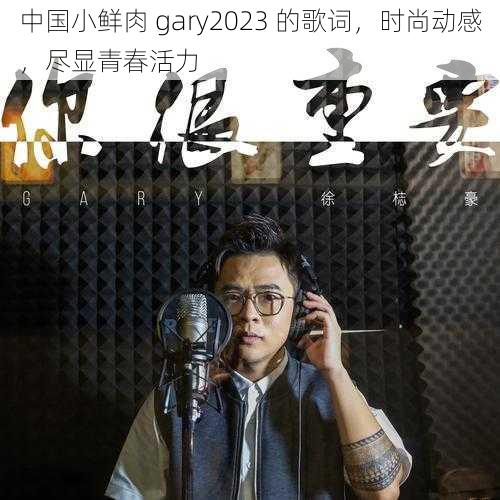 中国小鲜肉 gary2023 的歌词，时尚动感，尽显青春活力