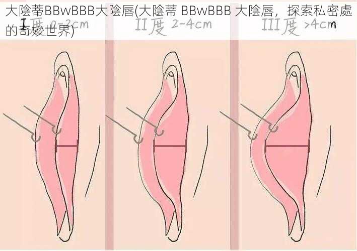 大陰蒂BBwBBB大陰唇(大陰蒂 BBwBBB 大陰唇，探索私密處的奇妙世界)