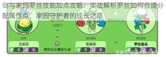 剑与家园罗丝技能加点攻略：实战解析罗丝如何合理分配属性点，家园守护者的成长之路