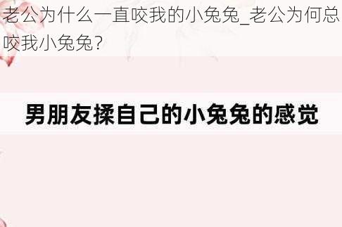 老公为什么一直咬我的小兔兔_老公为何总咬我小兔兔？