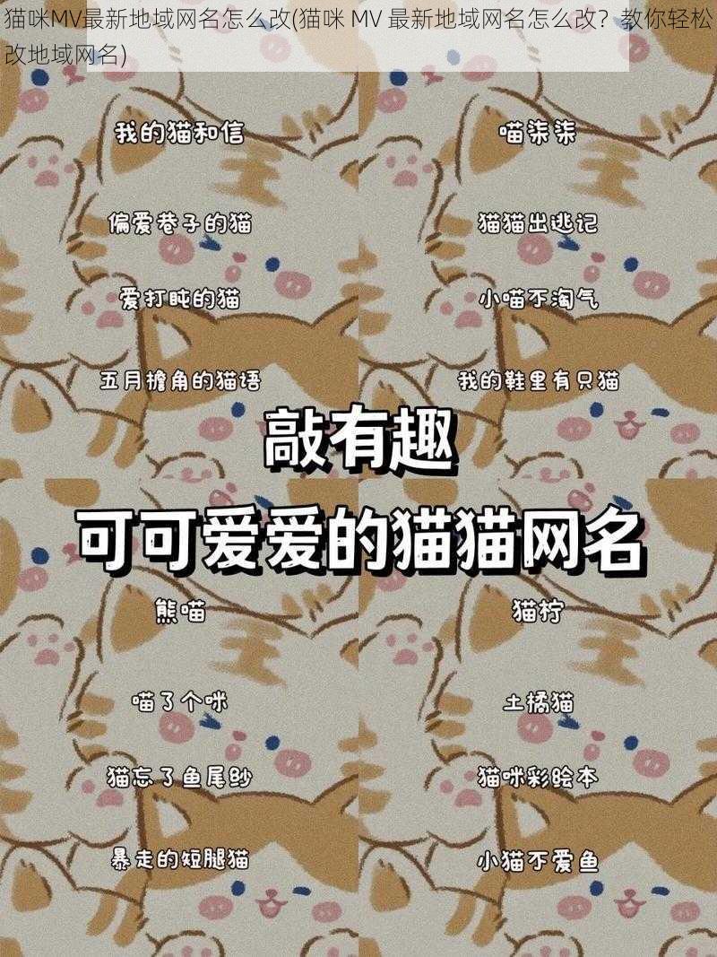 猫咪MV最新地域网名怎么改(猫咪 MV 最新地域网名怎么改？教你轻松改地域网名)