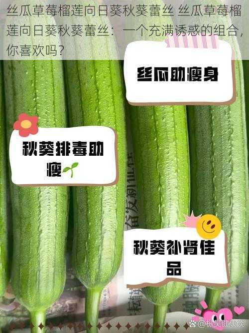 丝瓜草莓榴莲向日葵秋葵蕾丝 丝瓜草莓榴莲向日葵秋葵蕾丝：一个充满诱惑的组合，你喜欢吗？