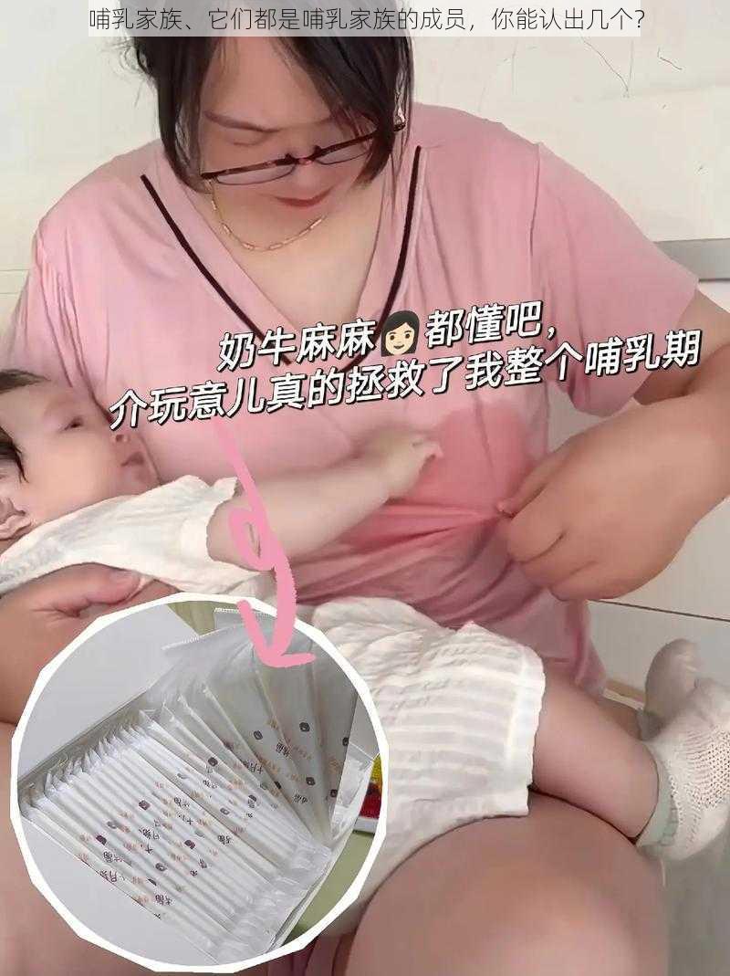 哺乳家族、它们都是哺乳家族的成员，你能认出几个？