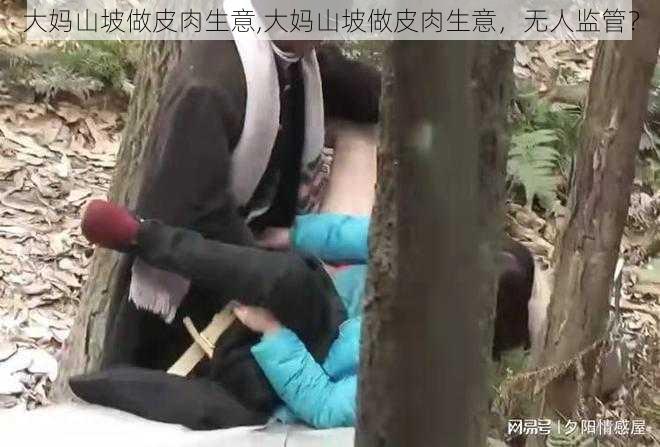 大妈山坡做皮肉生意,大妈山坡做皮肉生意，无人监管？