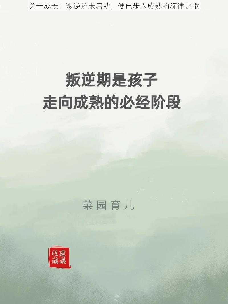 关于成长：叛逆还未启动，便已步入成熟的旋律之歌