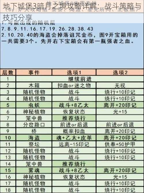 地下城堡3暗月之境攻略详解：战斗策略与技巧分享