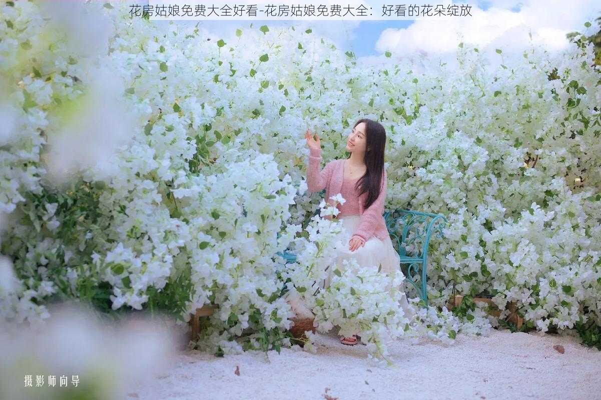 花房姑娘免费大全好看-花房姑娘免费大全：好看的花朵绽放