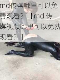 md传媒哪里可以免费观看？【md 传媒视频哪里可以免费观看？】